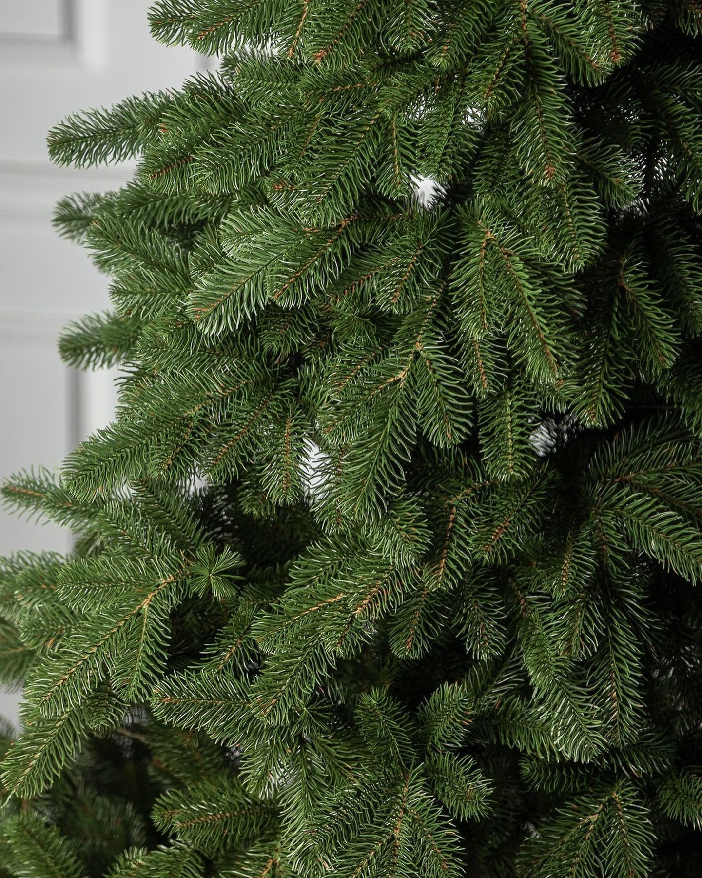 Traditional Simple Dark Green Christmas Tree