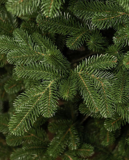 Traditional Simple Dark Green Christmas Tree